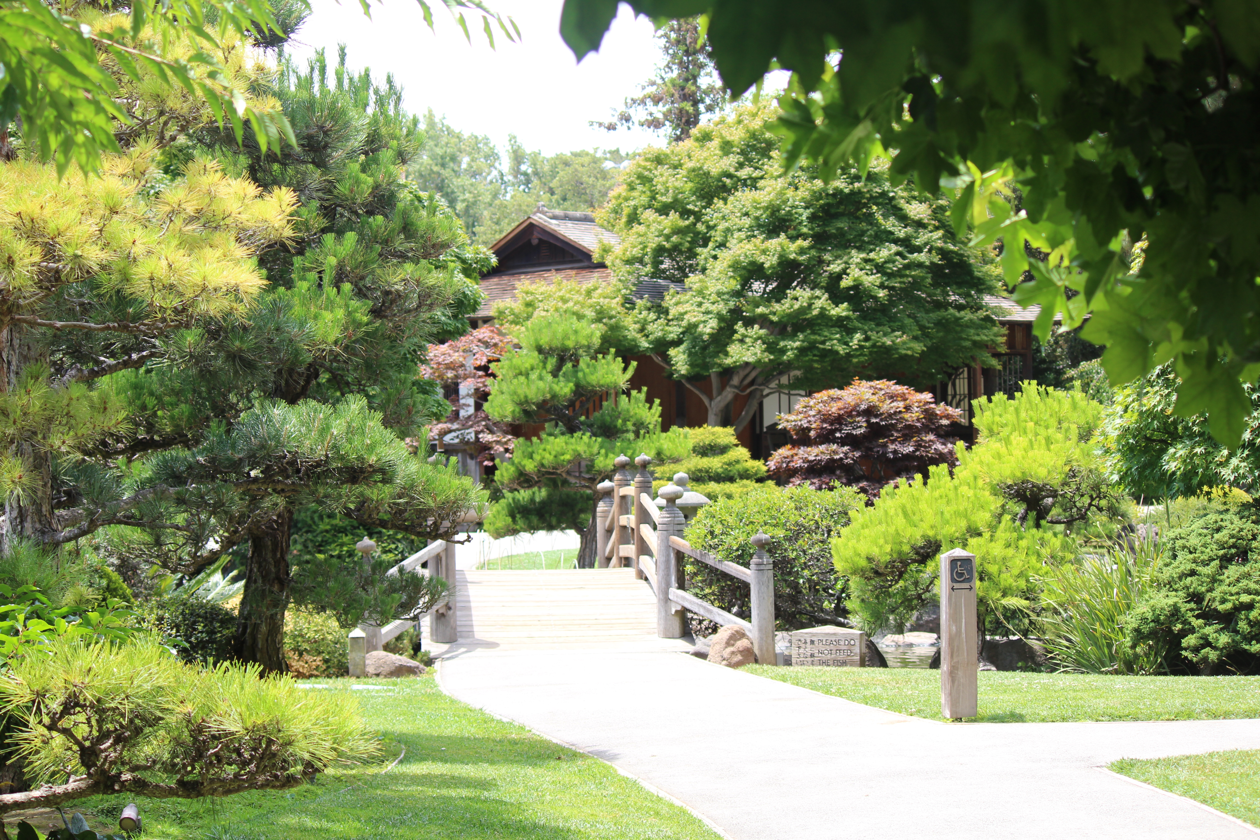 Japanese Garden At San Mateo California Ladies Bulletin